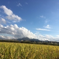 ひとり親！無料！お米プレゼント企画！玄米精米済み！▲山形市 天童...