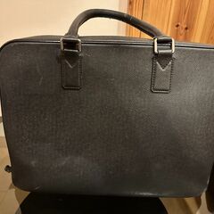 ★希少モデル★ ルイヴィトン Louis Vuitton タイガ...