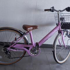 自転車…(決まりました)