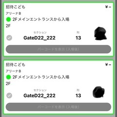 2/11(日)琉球ゴールデンキングスVSレバンガ北海道 大人2枚、子ども席3枚の画像