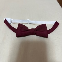 ひかりのくに リボン