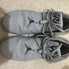 AIR JORDAN WHY NOT ZERO 1 LOW CE...