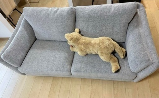 展示品のためほぼ新品