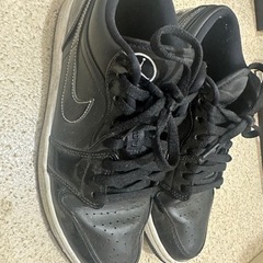 NIKE AIR LOW JORDAN 1 LOW All-star 2021の画像