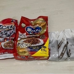 ネコの餌　あげます