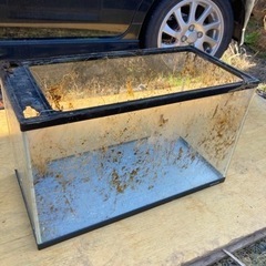 水槽の画像