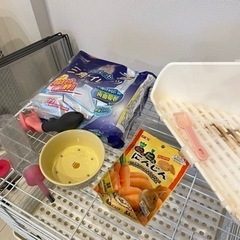 うさぎの飼育セットの画像