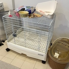 うさぎの飼育セットの画像