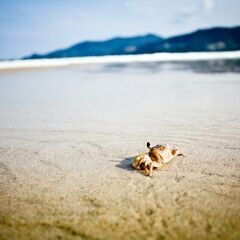 ⚠️人数限定⚠️起業に失敗し続け、もう失敗したくないあなたへ