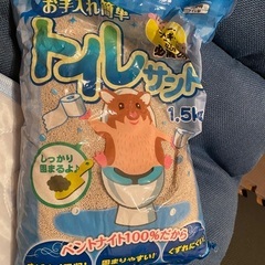ハムスター砂✨