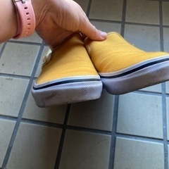 vans スニーカー　24.5の画像