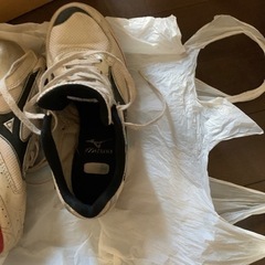 ミズノ陸上スパイクの画像