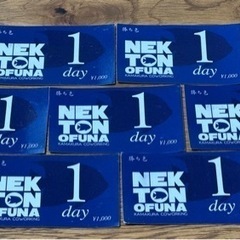 NEKTON OFUNA（ネクトン大船）1Dayチケット7枚セットの画像