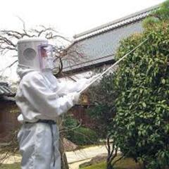 🐝一緒に蜂駆除&ハウスクリーニングの仕事をやりませんか？😁