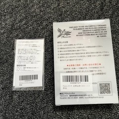 【ネット決済可能】サイレントギター ナチュラル SLG200S NTの画像