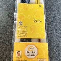 ドクターコパの風水箸