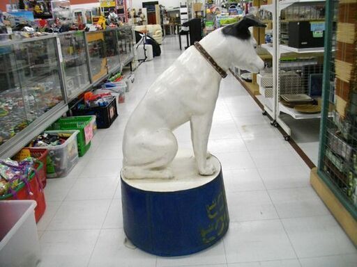 ビクター 特大ニッパー犬 大型フィギュア 等身大フィギュア 高：99cm 幅：60cm 苫小牧西店