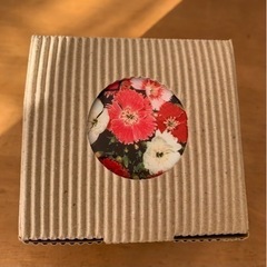 エコロジーポット 西洋石竹の種付き  地球にやさしいお花の鉢の画像