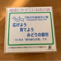 エコロジーポット 西洋石竹の種付き  地球にやさしいお花の鉢の画像