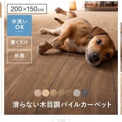 お値下げ⭐︎パンチカーペット　200×150 UESD