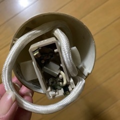 電球の画像