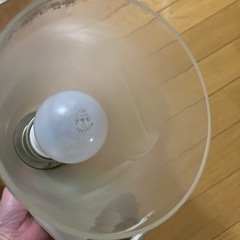 電球の画像
