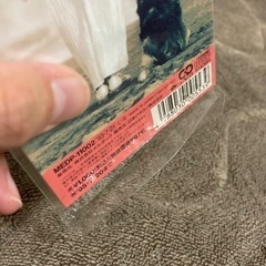 国武万里 ポケベルが鳴らなくて 8cmCDシングルの画像