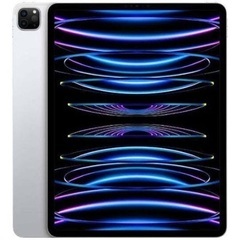 iPad pro 6世代(最新)12.9インチ 容量256g プ...