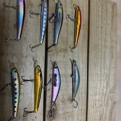 バス釣り 管釣り