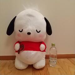 ポチャッコ ぬいぐるみ サンリオの画像