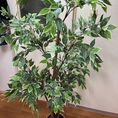 IKEAのフェイクグリーン（人工観葉植物）の画像