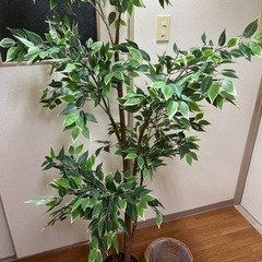 IKEAのフェイクグリーン（人工観葉植物）の画像