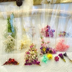 ドライフラワー　プリザーブドフラワー　小物作り　レジン作品　サシェ作りなどにの画像