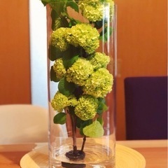 円柱　花瓶