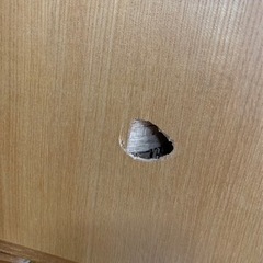 退去前に補修しませんか？