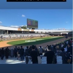 京都競馬場行きませんか？🐴