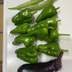 使わない農具などあれば譲ってください！ − 神奈川県