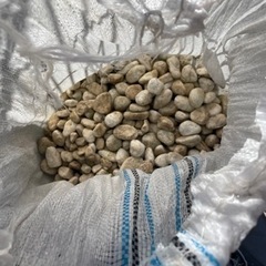 化粧砂利、防犯砂利差し上げます　の画像