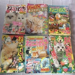 ねこぱんち