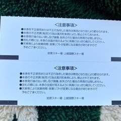岩原スキー場ロングペアリフト券の画像