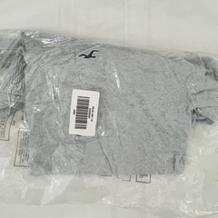 新品ホリスター　メンズLの画像