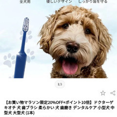 ドクターデンタルワン/Dr.GEKIOCHI歯ブラシ（犬用）の画像