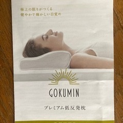 【美品】GOKUMIN 低反発枕 まくらの画像