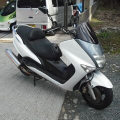 自賠責付き YAMAHA MAJESTY 125 コマジェ ホワイト・インジェクションの画像