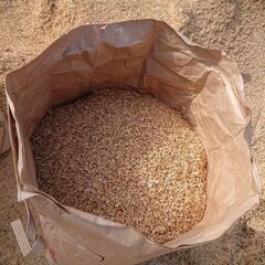 籾殻(もみがら)の画像