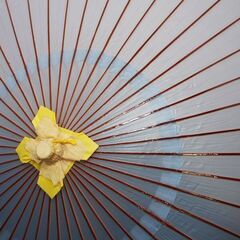 未使用品 和傘風 ビニール傘 (FA40)の画像