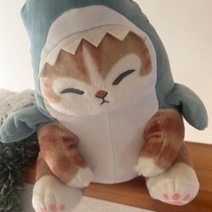 サメにゃん