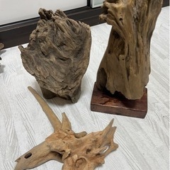 流木セット☆バラ売り可の画像