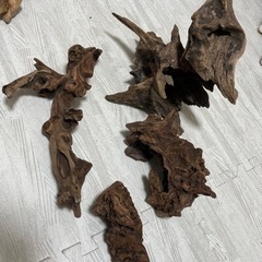 流木セット☆バラ売り可の画像