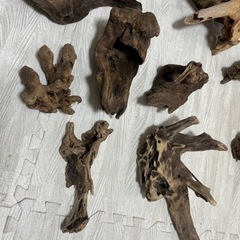 流木セット☆バラ売り可の画像